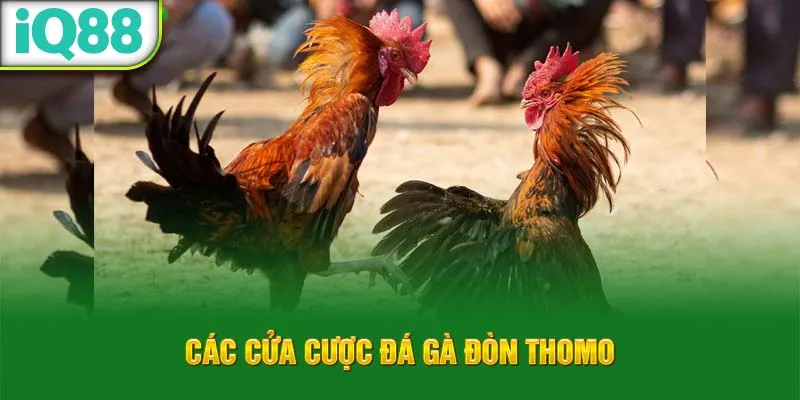 cac-cua-cuoc-da-ga-don-thomo_3_11zon