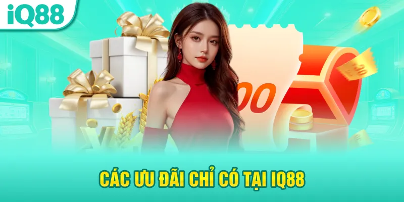 Các ưu đãi chỉ có tại iq88