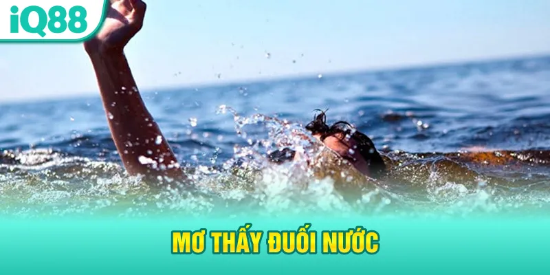 mo-thay-duoi-nuoc