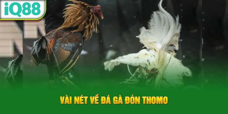 vai-net-ve-da-ga-don-thomo_1_11zon